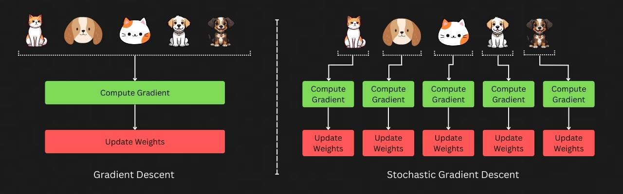 Diagram showing Gradient Descent vs Stochastic Gradient Descent