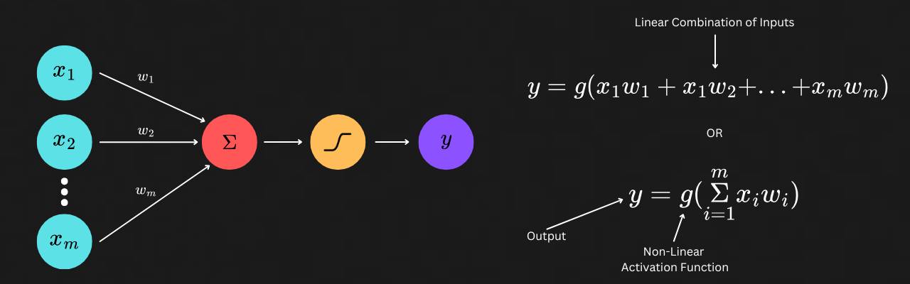 The Perceptron Model and Simplified Equation